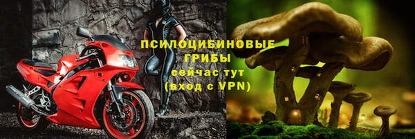 сатива Балабаново