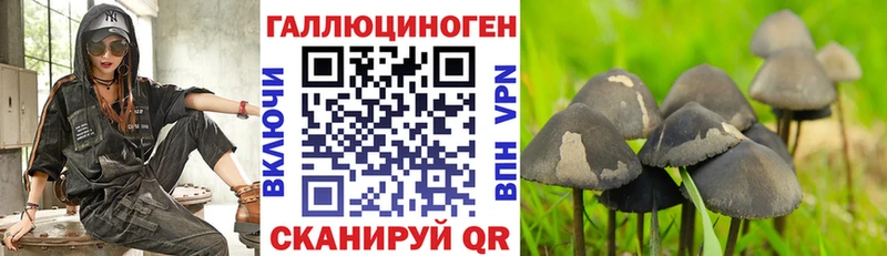 Псилоцибиновые грибы ЛСД  что такое   Городовиковск 