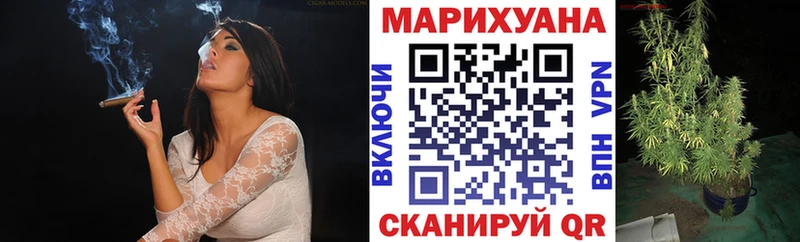 магазин продажи наркотиков  Городовиковск  Каннабис VHQ 